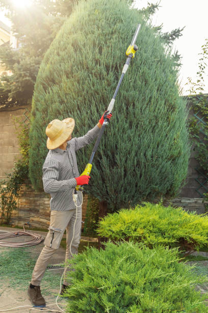 Lawn Grading and Leveling in Sun Valley, PA